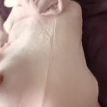 ���� ����� ����