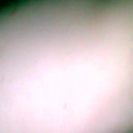 ��� ��� ���������