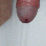 ����� ���������