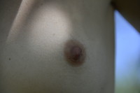 ������� ����