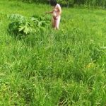 ������ �������� �� �������