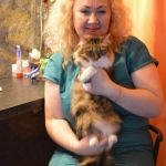 ������ ��������� 4