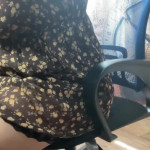 �� ������