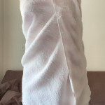 � �������� ����������