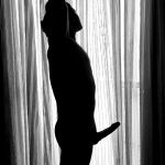 ��� ��� ����