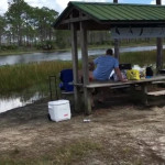 ����� ����� ����