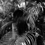 ������������ ��������