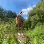 �������� ���� 2