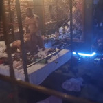 ����������� � ����� "���������" �. ������