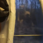 ���� � ����� � ���� ������