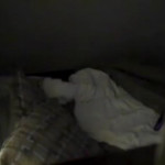 ������� ���� ������ � ����������