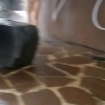 �������� �� ������