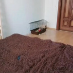 ���� ����� � ���������� �����