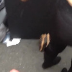 ��������� ����� �� ������ � �����