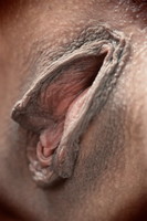 ��� ������ ���������� �����