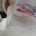 ������ ���� ���������