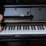 ���� ���������