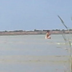 ������� �� ����