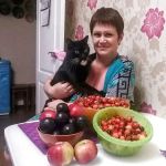 �������� ������ ������� �������