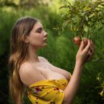 ������ ���������� - ����� ����