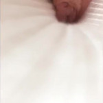 ������������ �������