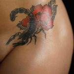 ������ �� ����������.