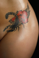 ������ �� ����������.