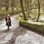 �������� ������ �� ������