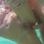 ������� � �������