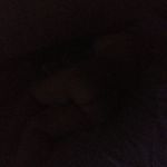 ������� ����.