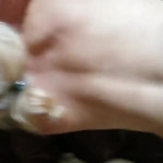 ������������ ����