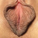 ������ ����� ������� ������