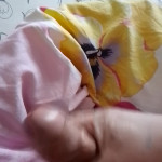 �������� ���������