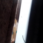 ������� ������� � �����������.