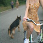 ������� � ����� ��� �������� �������� �� ����������