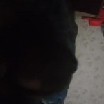 �� ��������� ������. 3