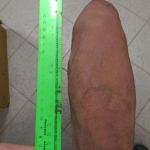 ���� ����� ��� ������