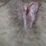 ������ ������� �����������