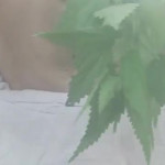 ������ ������� ������� ���� ��������