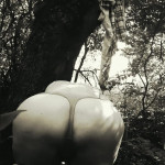 � ������� � �����