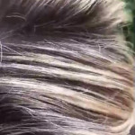 ������ �������� �� �������