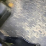 ������ ������ � ����� � ����