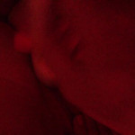 ������ ������������ � ���� �������