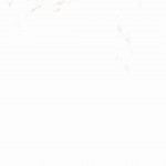 ������� ������� ��������� ������ ����