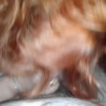 ����� ������ ����� ����