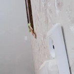 ����� � �������� ������� ���� ��������� �����