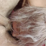 �������� ������ ������ ������ ������