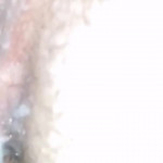 �������� ������ � ��������