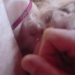 ������ ������ ����� � ���������� �����