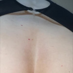 ������ ������ � �����